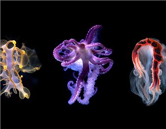 Taikang Art Museum’s Archival of Media and Technology in Arts