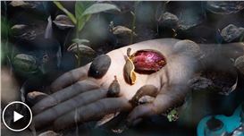 ZKM │ Center for Art and Media Karlsruhe Presents Assembling Grounds: Practices of Coexistence